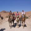 gp_eventi